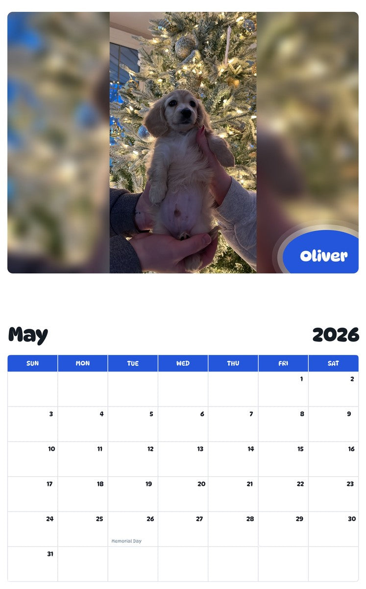 2026 - 2027 Oliver - Pawidols Pet Calendar
