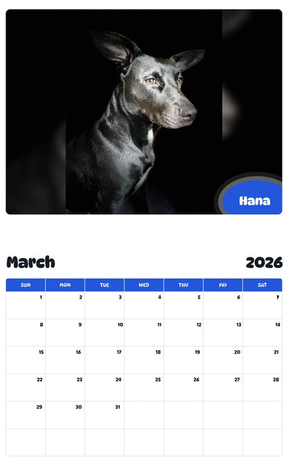 November 2025 - October 2026 Hana - Pawidols Pet Calendar