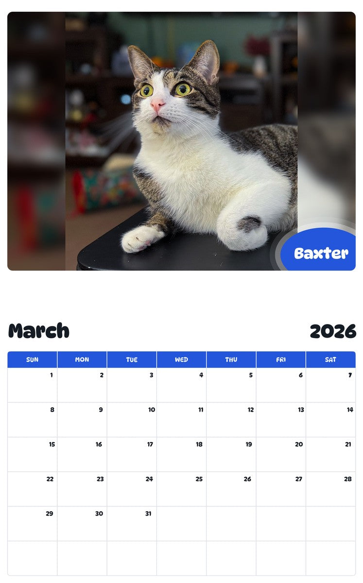 November 2025 - October 2026 Baxter - Pawidols Pet Calendar