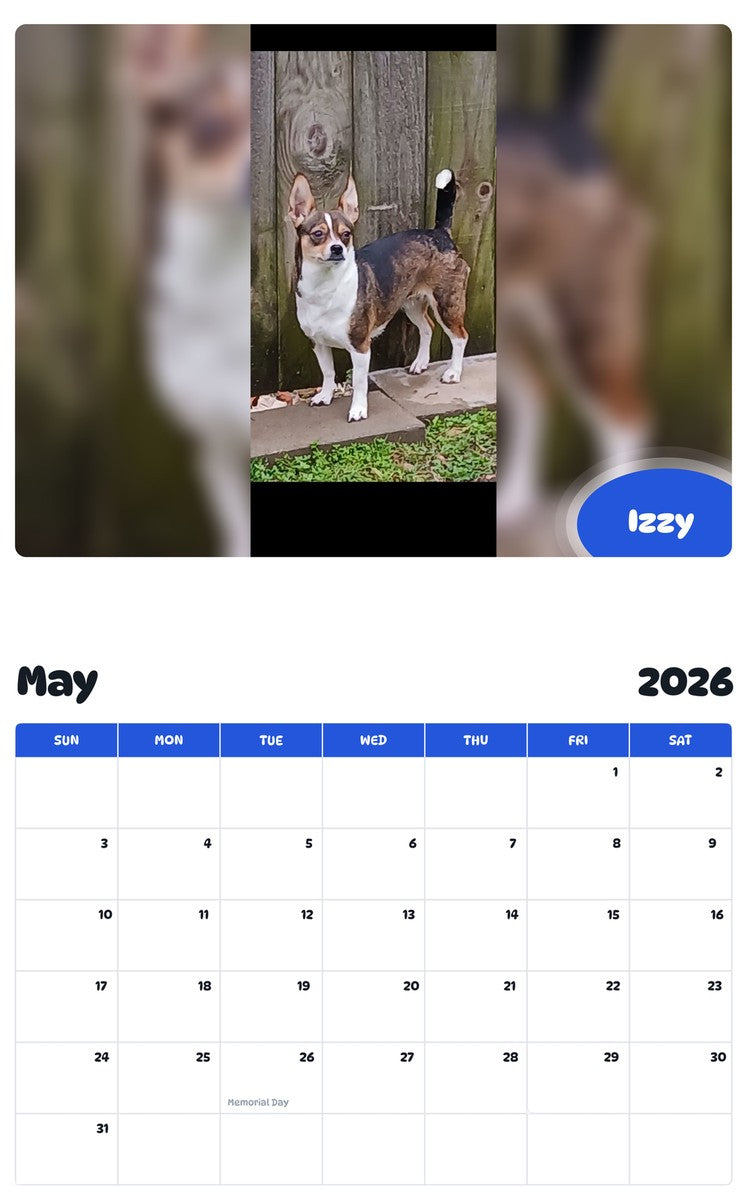 2026 - 2027 Izzy - Pawidols Pet Calendar