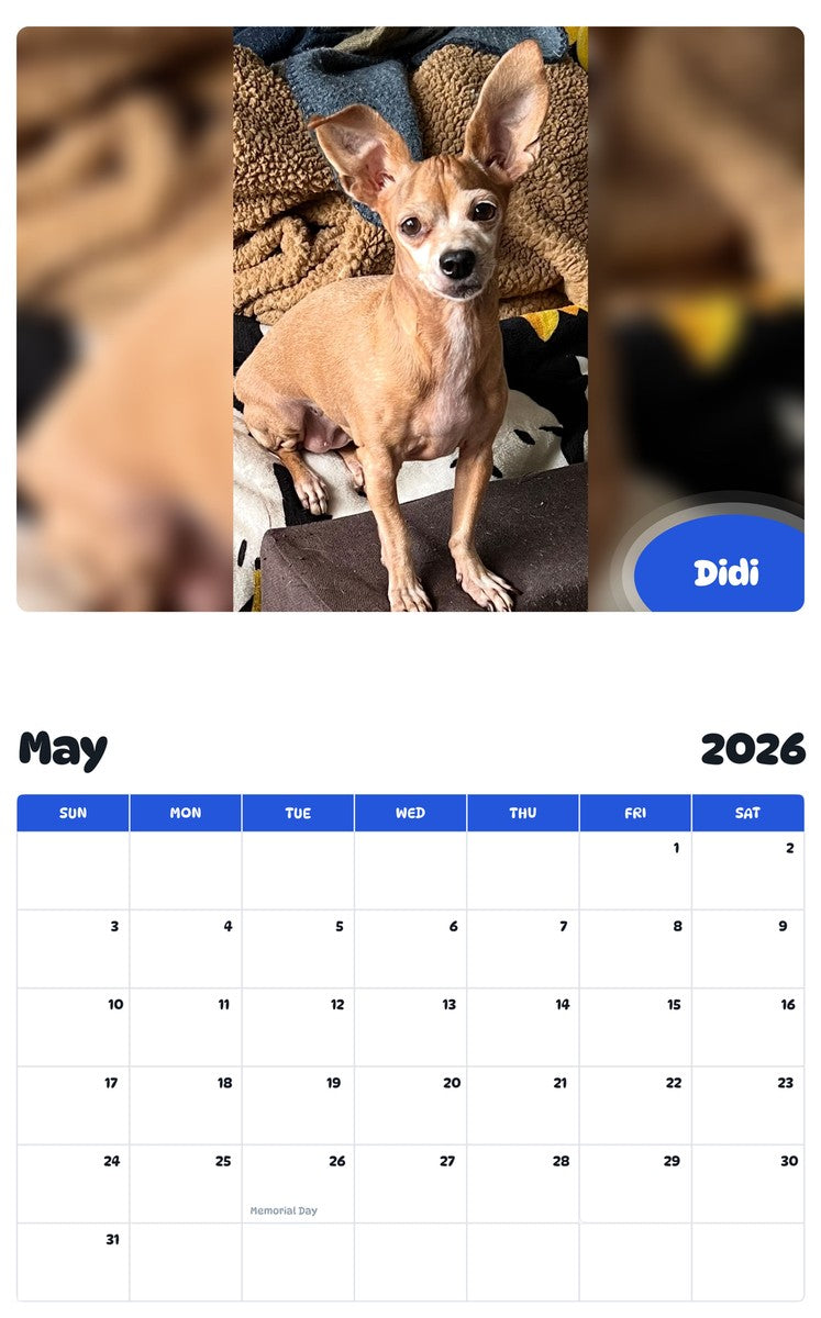 2026 - 2027 Didi - Pawidols Pet Calendar