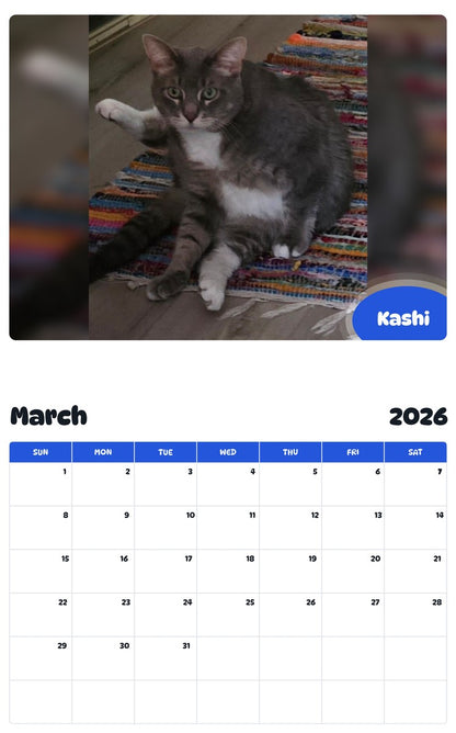 November 2025 - October 2026 Kashi - Pawidols Pet Calendar