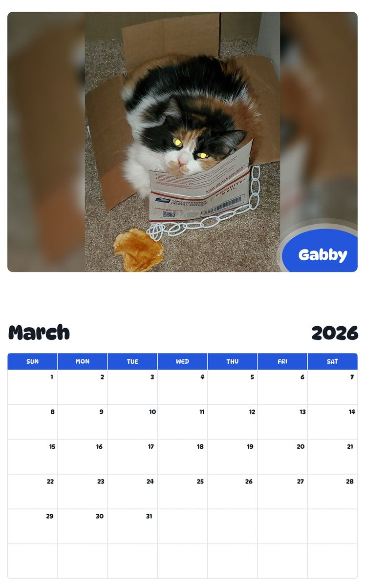 November 2025 - October 2026 Gabby - Pawidols Pet Calendar
