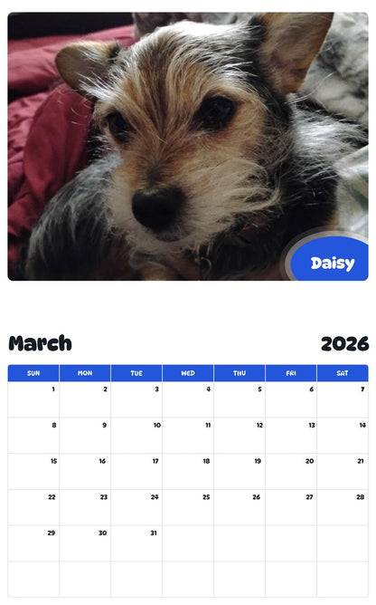 November 2025 - October 2026 Daisy - Pawidols Pet Calendar