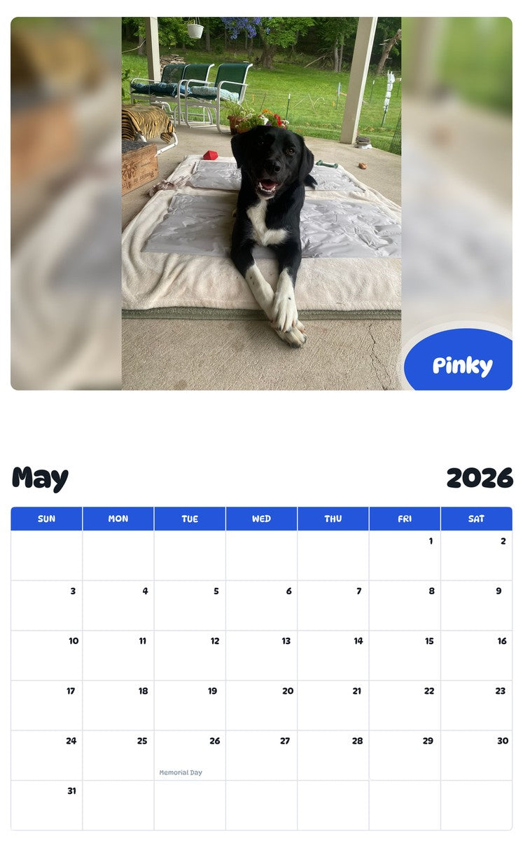 2026 - 2027 Pinky - Pawidols Pet Calendar