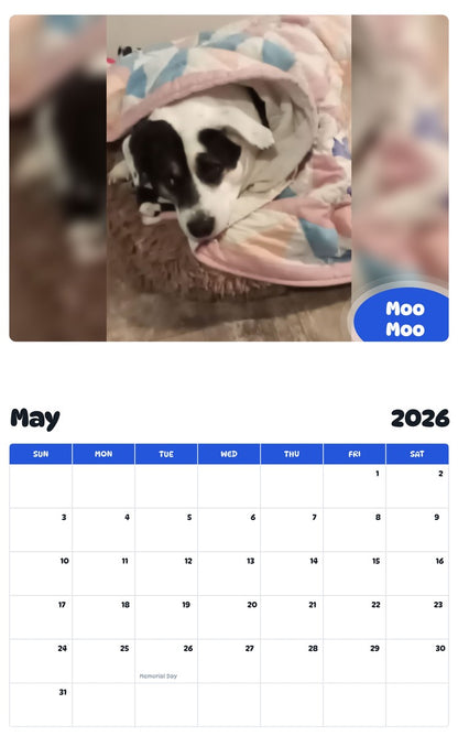 2026 - 2027 Moo Moo - Pawidols Pet Calendar
