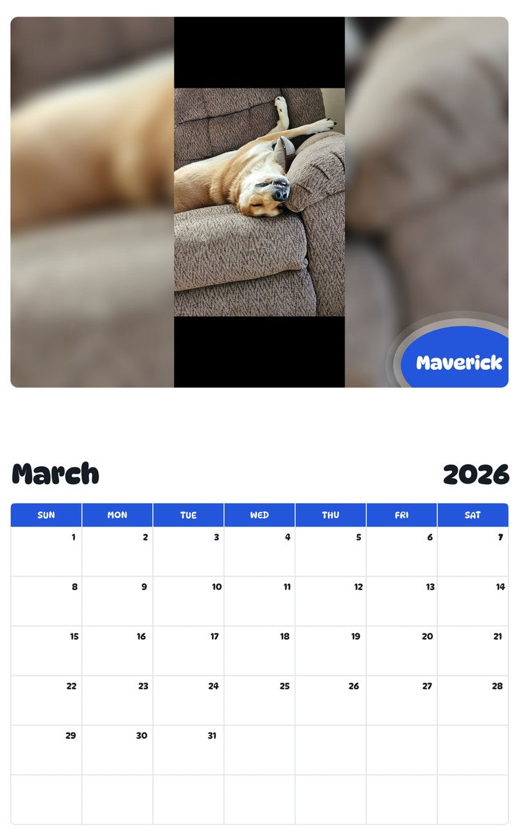November 2025 - October 2026 Maverick - Pawidols Pet Calendar