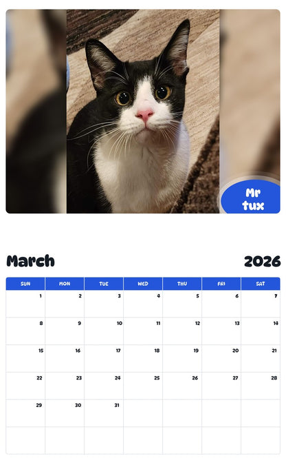 November 2025 - October 2026 Mr tux - Pawidols Pet Calendar