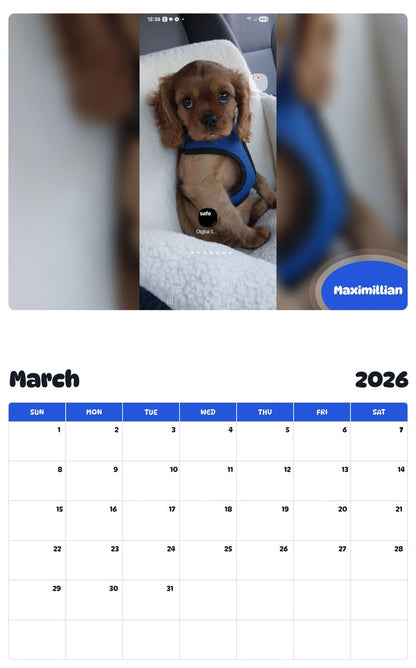 November 2025 - October 2026 Maximillian - Pawidols Pet Calendar