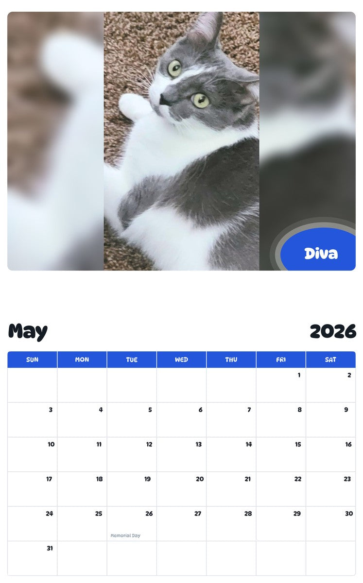 2026 - 2027 Diva - Pawidols Pet Calendar