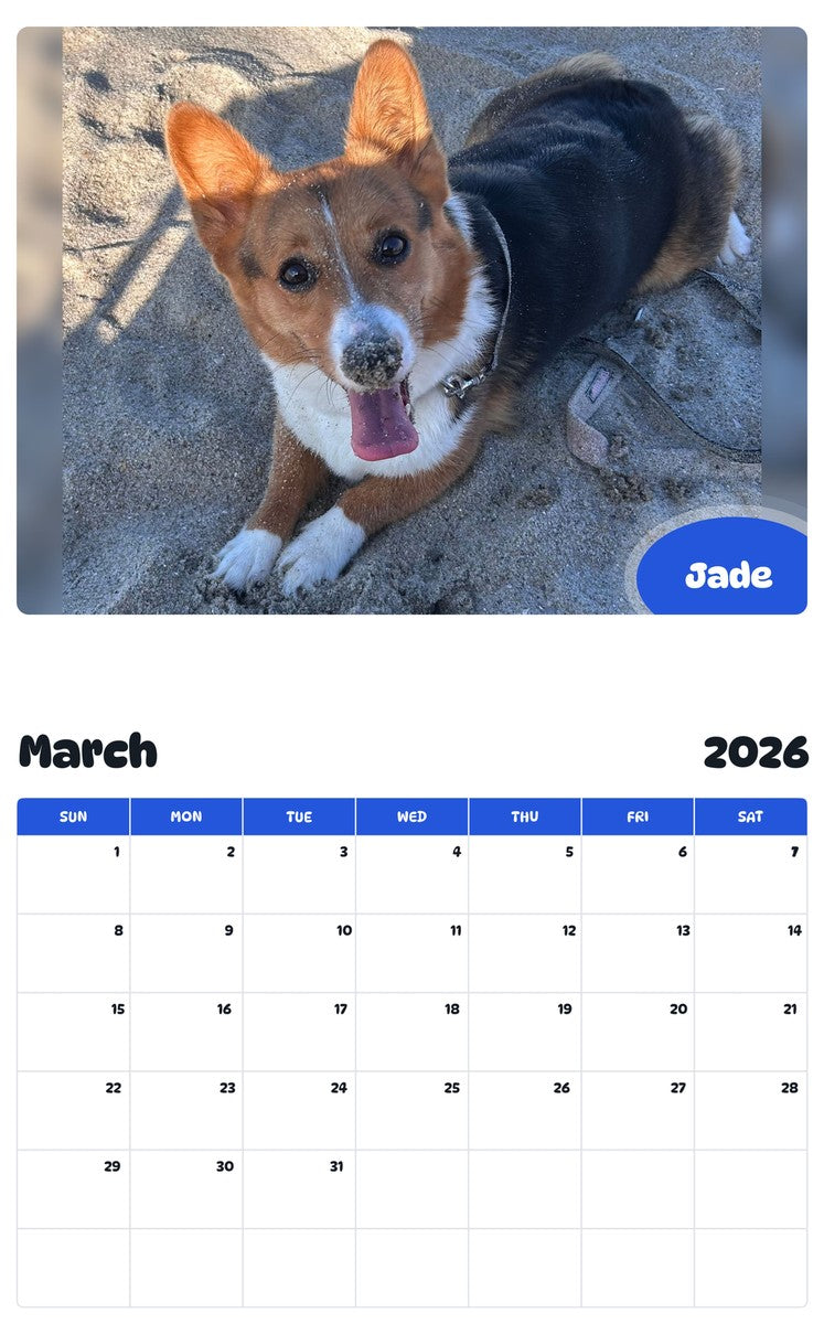 November 2025 - October 2026 Jade - Pawidols Pet Calendar