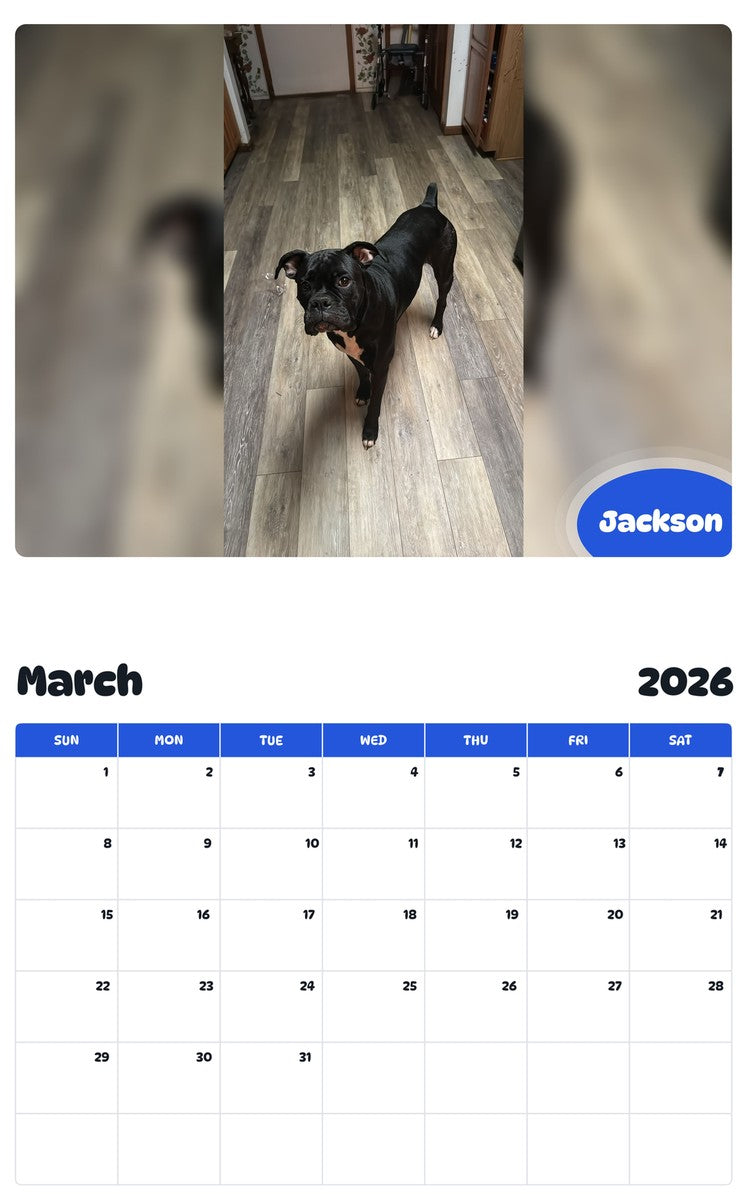 November 2025 - October 2026 Jackson - Pawidols Pet Calendar