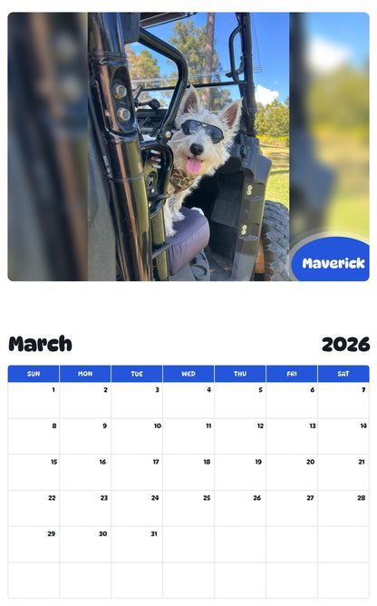November 2025 - October 2026 Maverick - Pawidols Pet Calendar