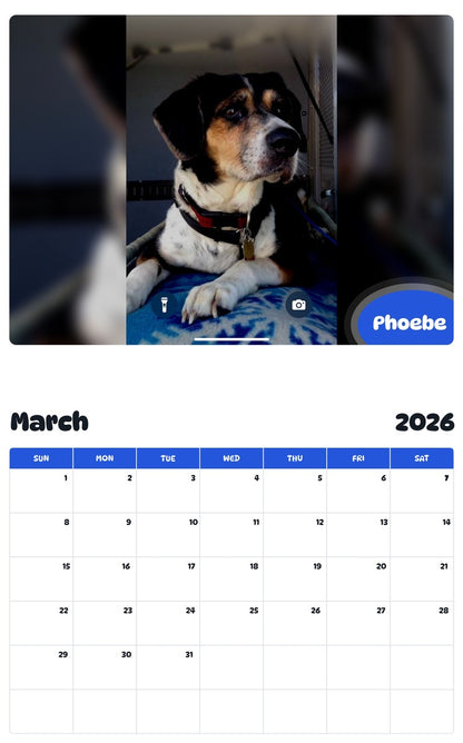 November 2025 - October 2026 Phoebe - Pawidols Pet Calendar