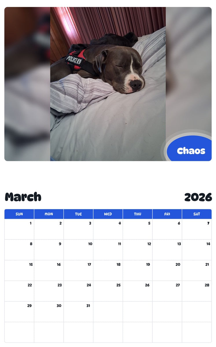 November 2025 - October 2026 Chaos - Pawidols Pet Calendar