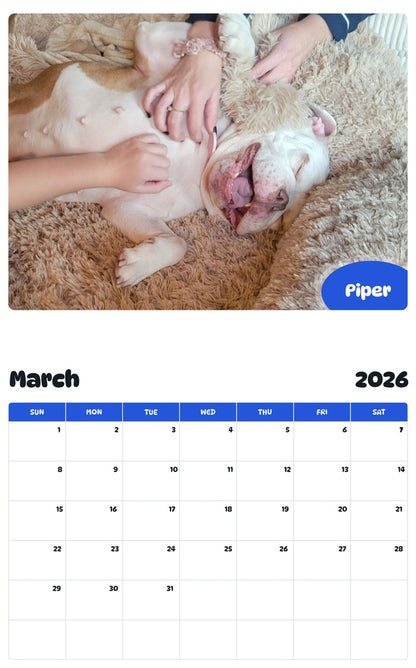 November 2025 - October 2026 Piper - Pawidols Pet Calendar