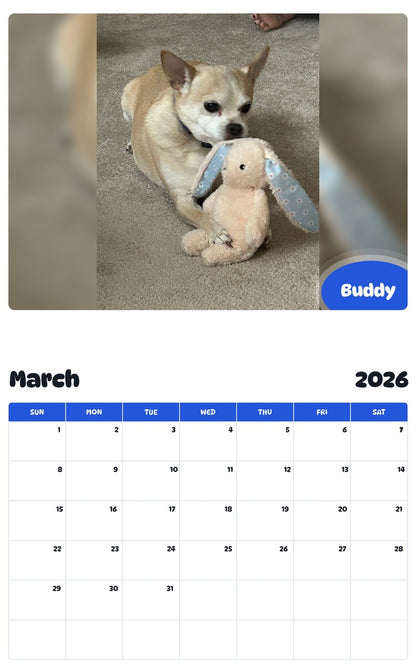 November 2025 - October 2026 Buddy - Pawidols Pet Calendar