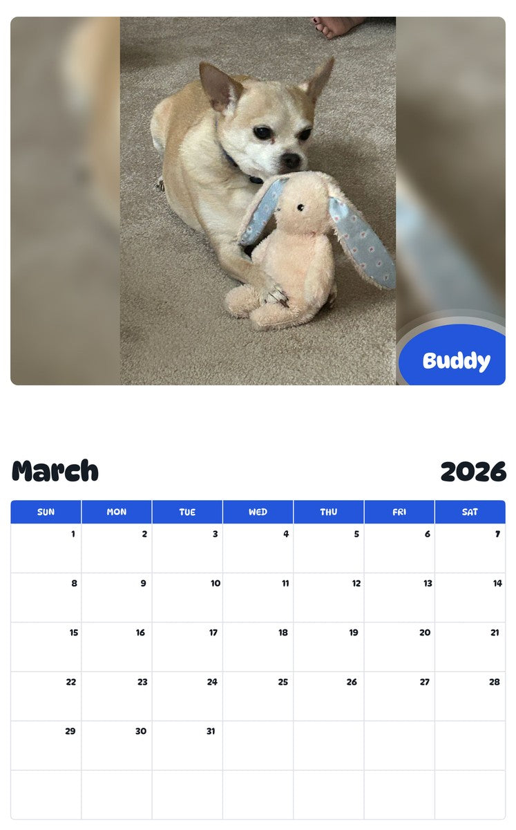 November 2025 - October 2026 Buddy - Pawidols Pet Calendar