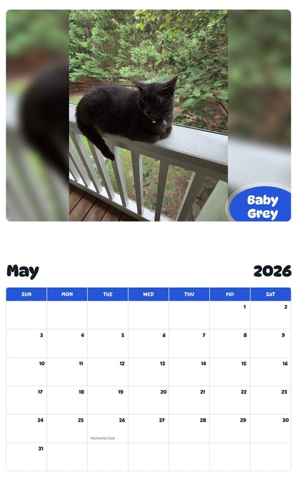 2026 - 2027 Baby Grey - Pawidols Pet Calendar