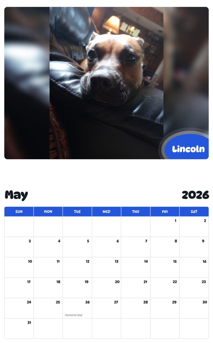 2026 - 2027 Lincoln - Pawidols Pet Calendar