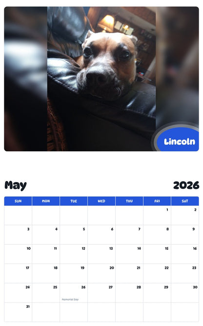 2026 - 2027 Lincoln - Pawidols Pet Calendar