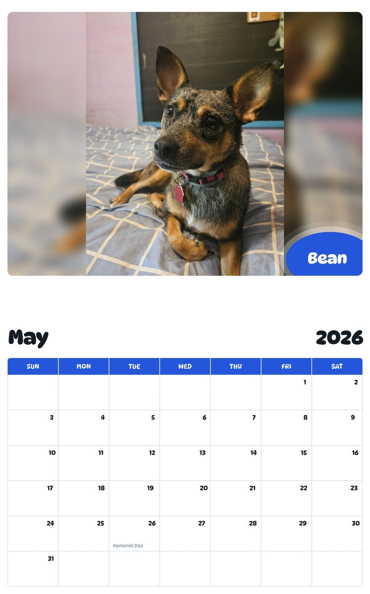 2026 - 2027 Bean - Pawidols Pet Calendar