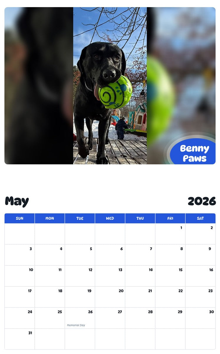 2026 - 2027 Benny Paws - Pawidols Pet Calendar