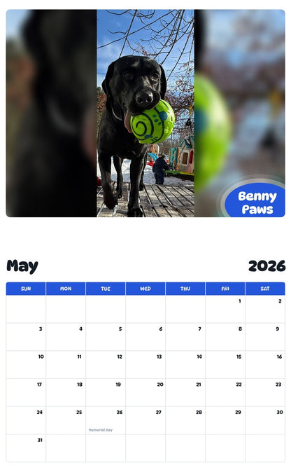 2026 - 2027 Benny Paws - Pawidols Pet Calendar