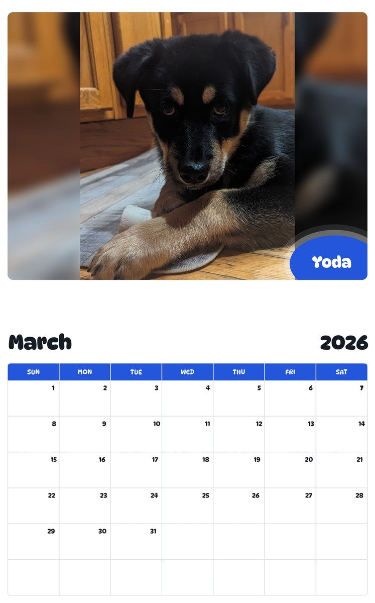 November 2025 - October 2026 Yoda - Pawidols Pet Calendar