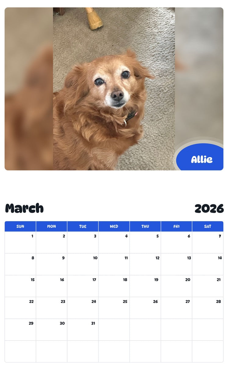 November 2025 - October 2026 Allie - Pawidols Pet Calendar