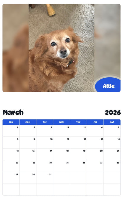 November 2025 - October 2026 Allie - Pawidols Pet Calendar