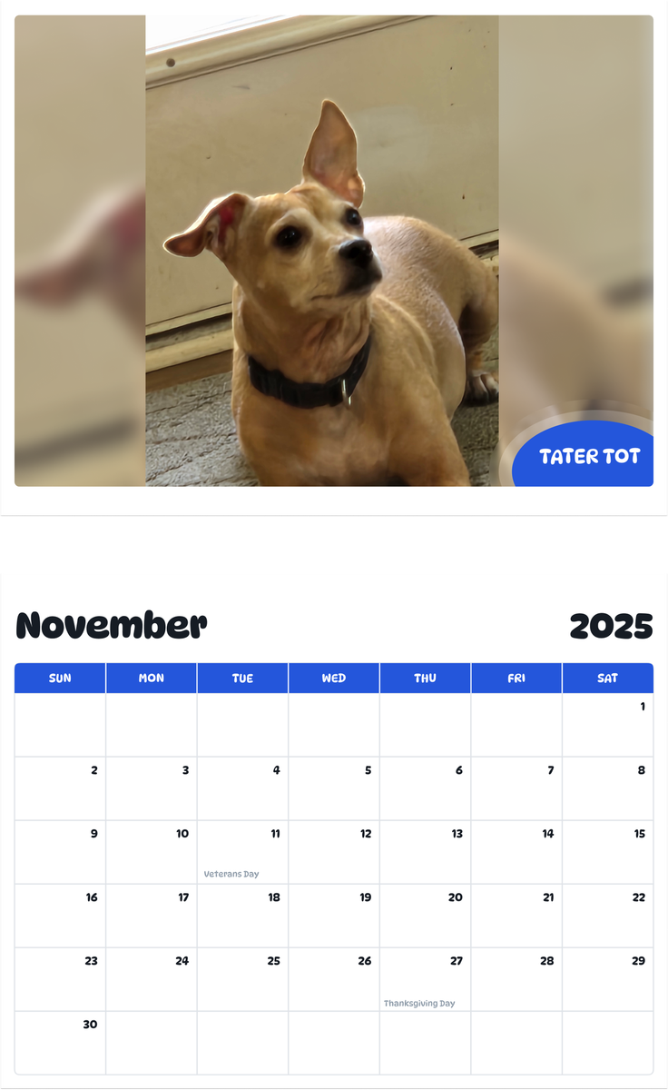 July 2025 - June 2026 Tater Tot - Pawidols Pet Calendar