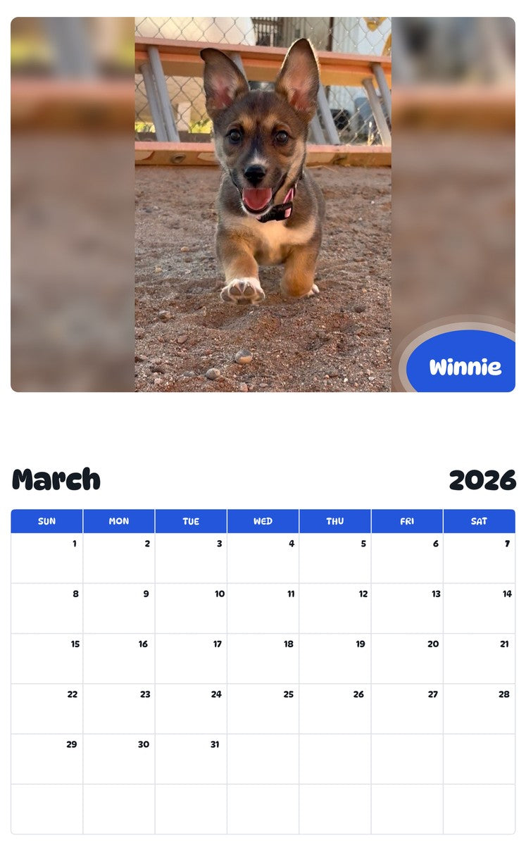 November 2025 - October 2026 Winnie - Pawidols Pet Calendar