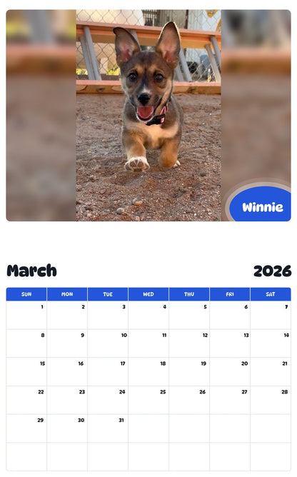 November 2025 - October 2026 Winnie - Pawidols Pet Calendar