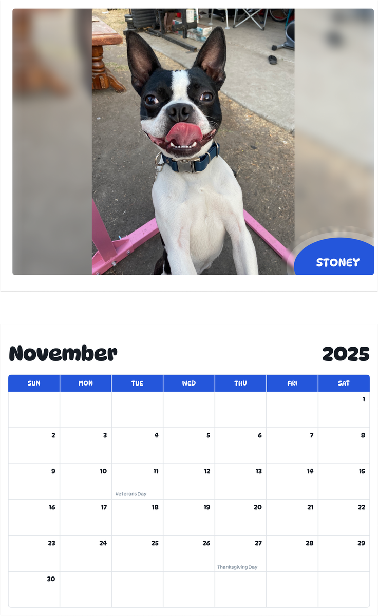 July 2025 - June 2026 Stoney - Pawidols Pet Calendar