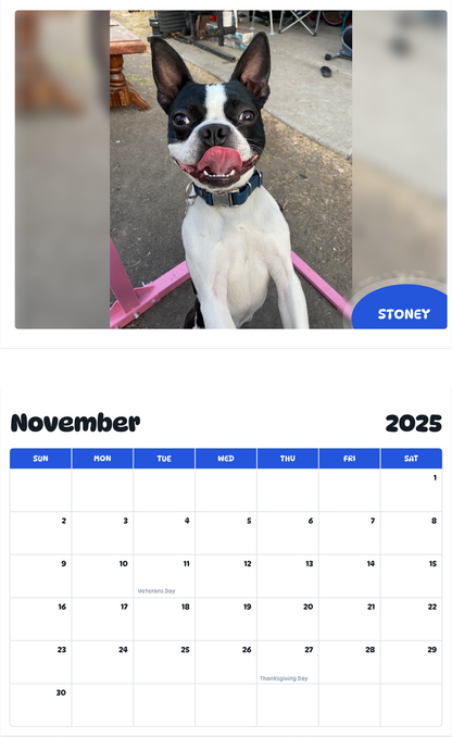 July 2025 - June 2026 Stoney - Pawidols Pet Calendar