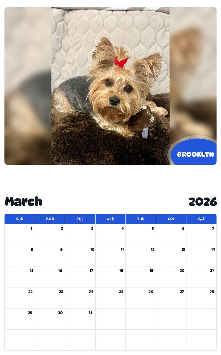 November 2025 - October 2026 BROOKLYN - Pawidols Pet Calendar