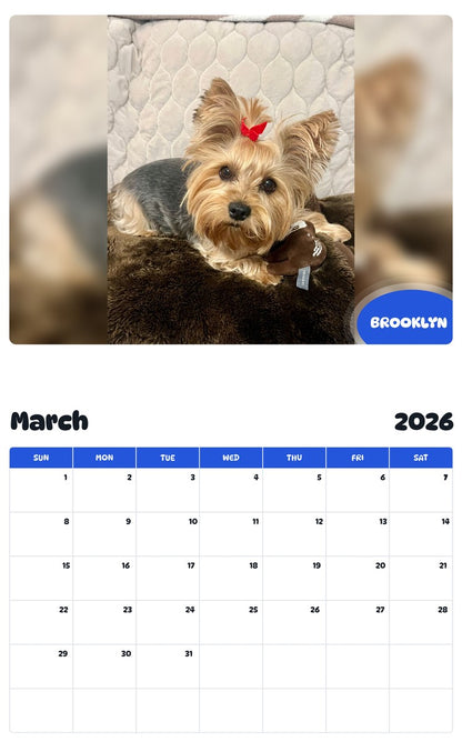 November 2025 - October 2026 BROOKLYN - Pawidols Pet Calendar