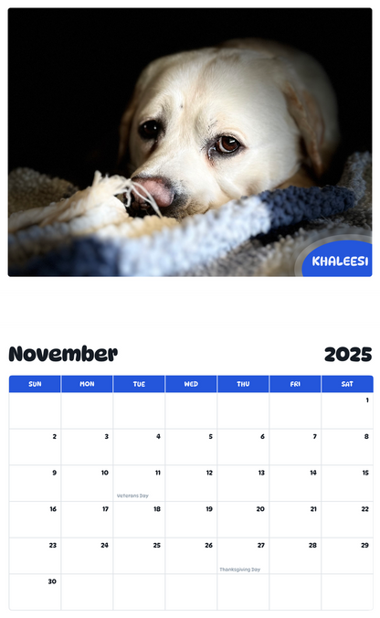 July 2025 - June 2026 Khaleesi - Pawidols Pet Calendar