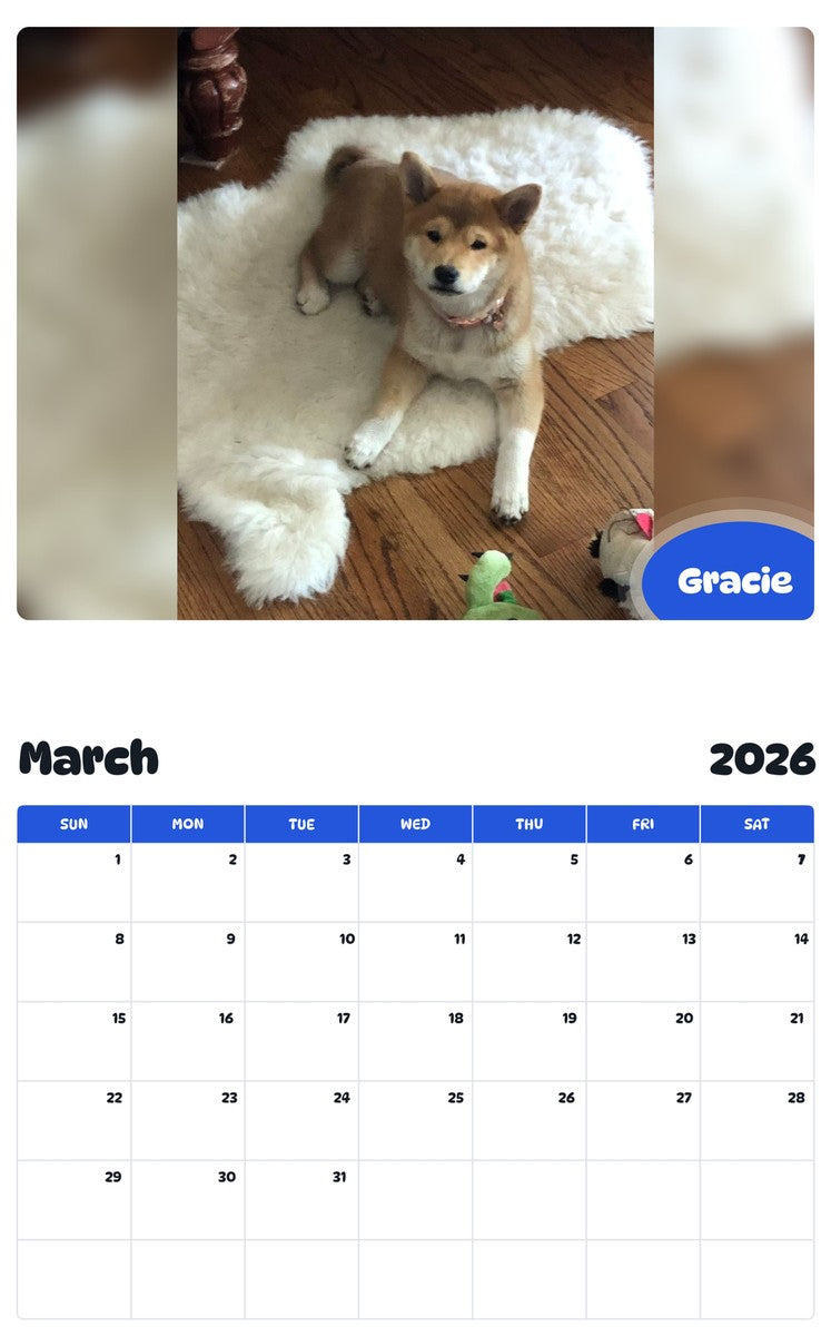 November 2025 - October 2026 Gracie - Pawidols Pet Calendar