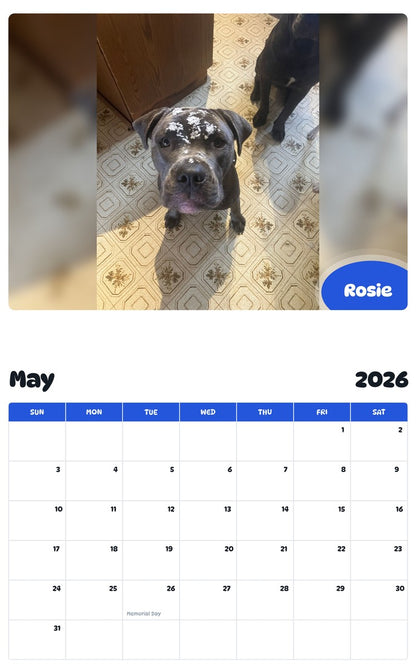 2026 - 2027 Rosie - Pawidols Pet Calendar