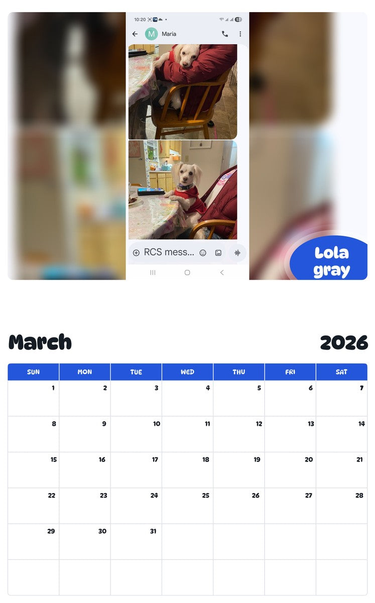 November 2025 - October 2026 Lola gray - Pawidols Pet Calendar