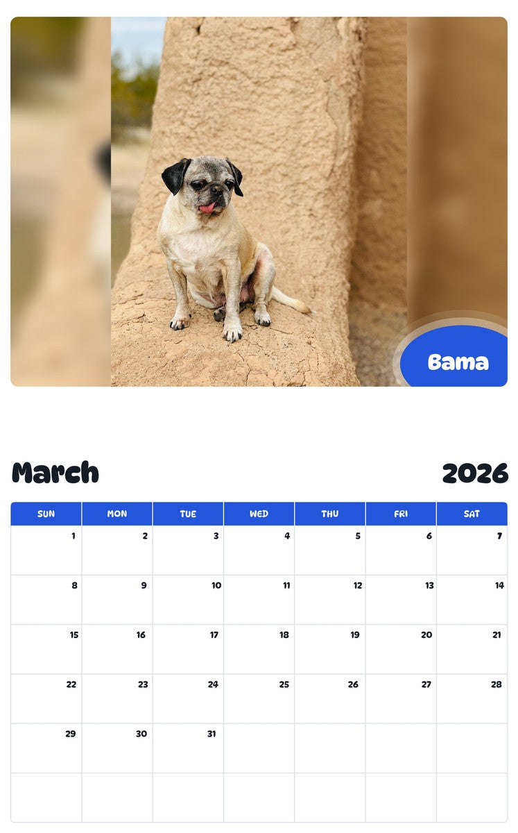November 2025 - October 2026 Bama - Pawidols Pet Calendar