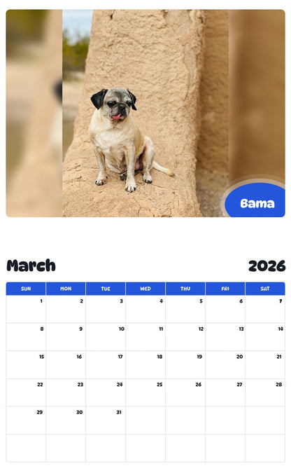November 2025 - October 2026 Bama - Pawidols Pet Calendar