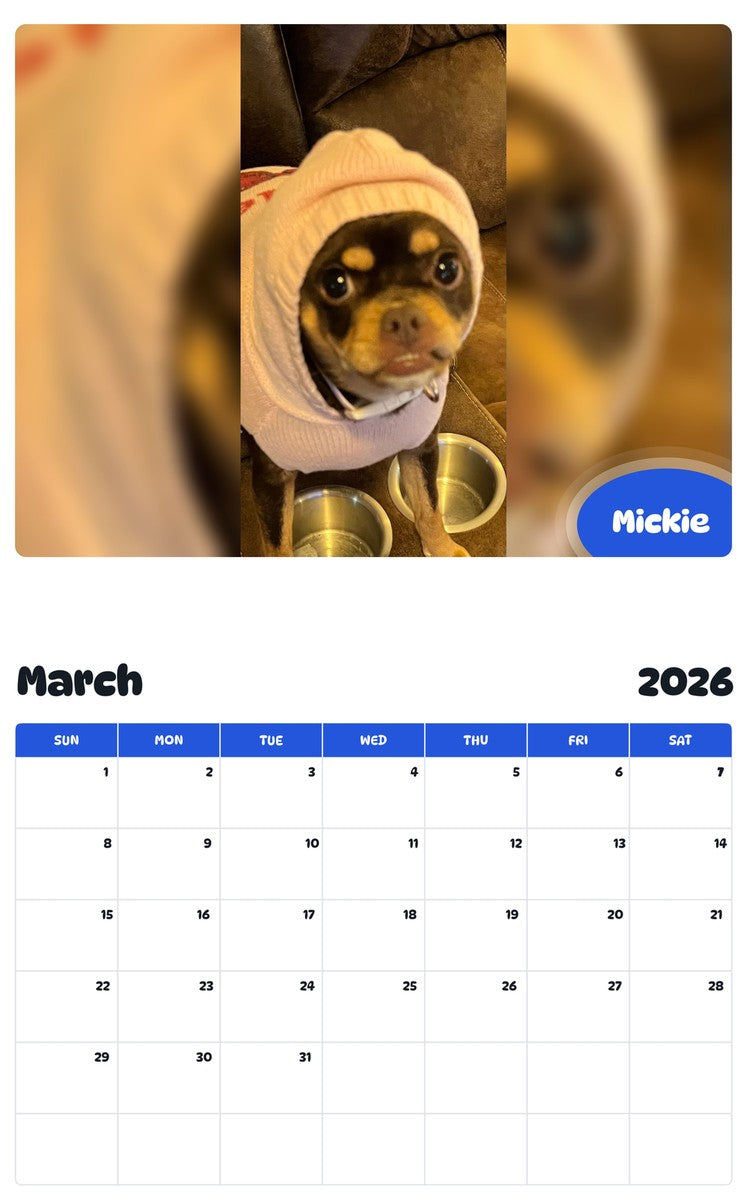 November 2025 - October 2026 Mickie - Pawidols Pet Calendar