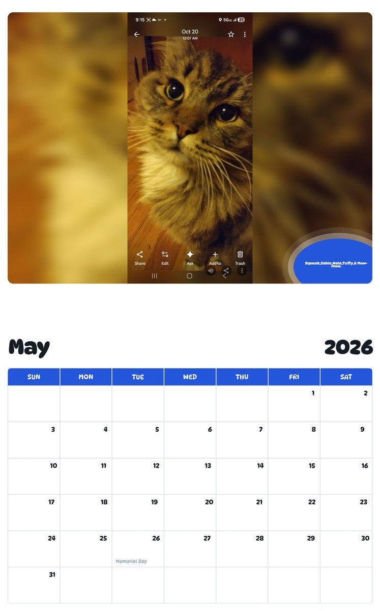 2026 - 2027 Squeek,Sable,Nala,Tuffy,& Mow-mow. - Pawidols Pet Calendar