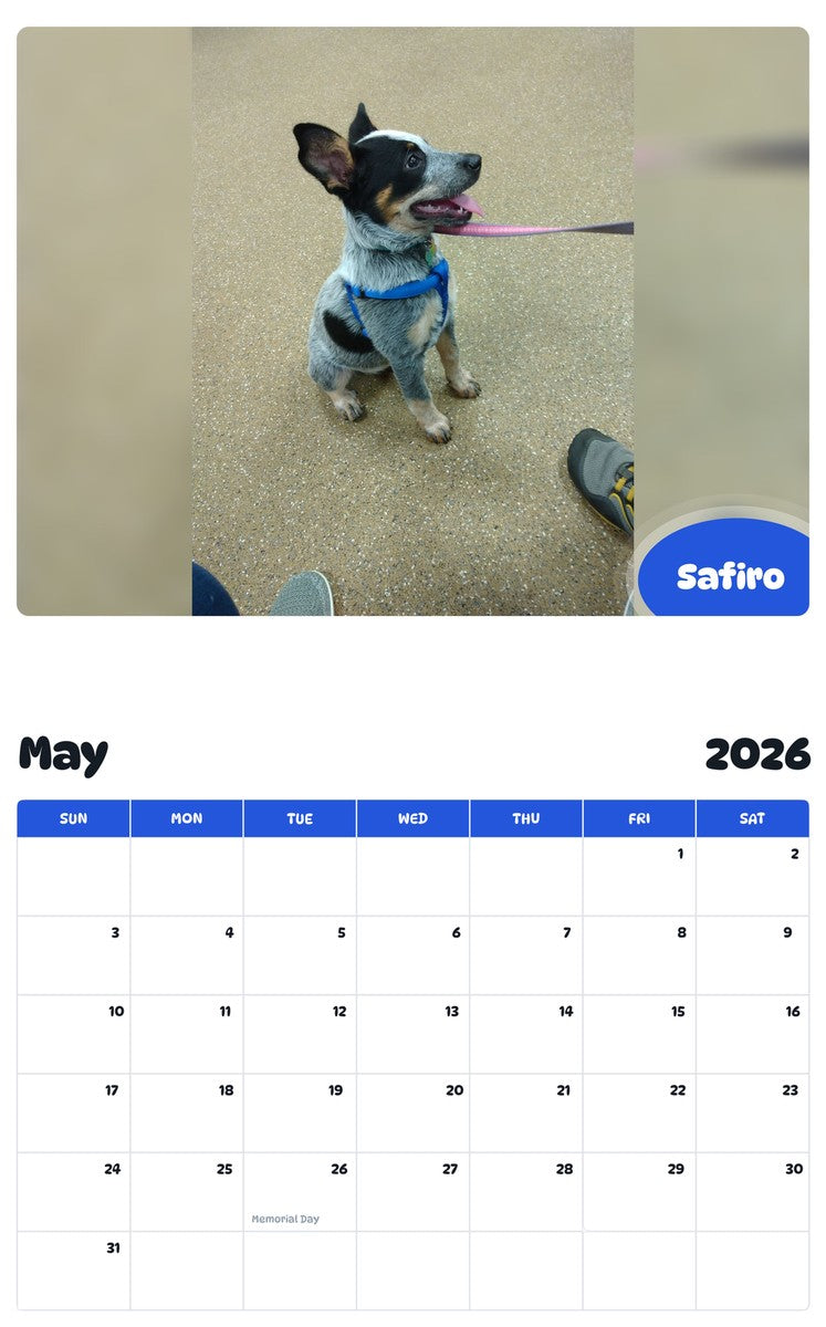 2026 - 2027 Safiro - Pawidols Pet Calendar