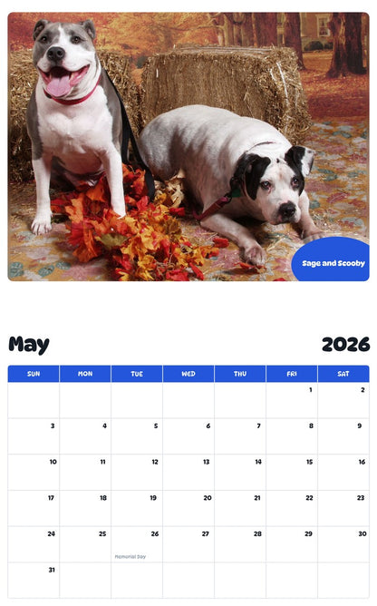 2026 - 2027 Sage and Scooby - Pawidols Pet Calendar