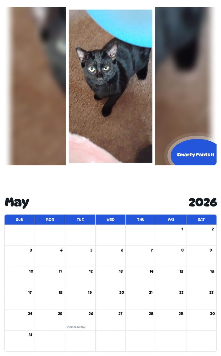 2026 - 2027 Smarty Pants II - Pawidols Pet Calendar