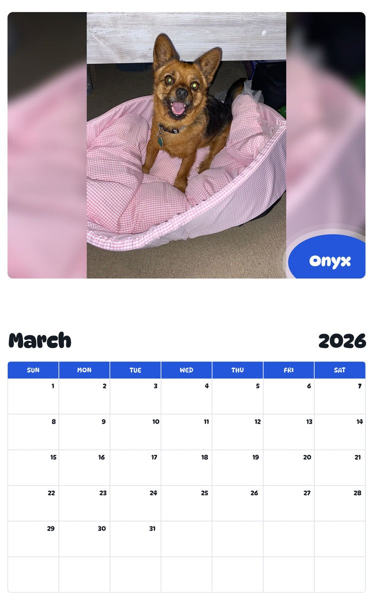 November 2025 - October 2026 Onyx - Pawidols Pet Calendar